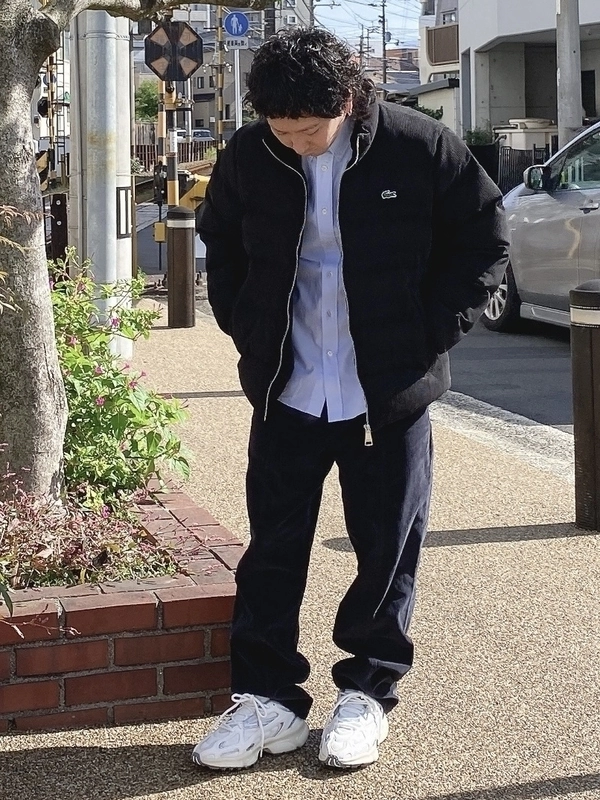 LACOSTE コーデュロイパフジャケット ベージュ 公式通販 Lacoste